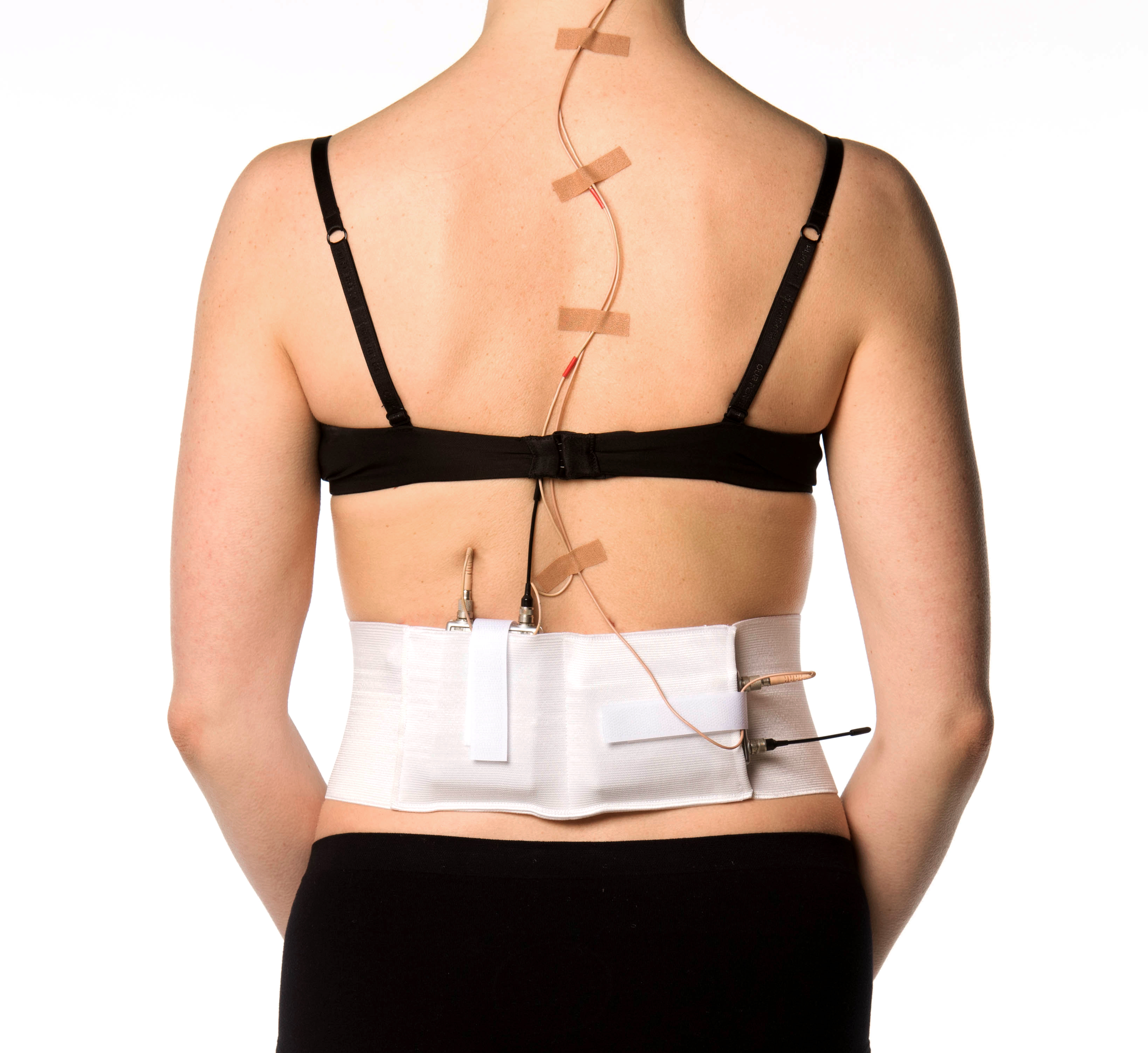 Shop by category Use this measurement to choose your correct belt size. Take that measurement and use the size guide on the belt you are interested in ordering. X-Small- 22″″ Small- 27″- 36″ Medium- 31″″ Large- 35″″ X-Large- 39″″ XX-Large- 43″″ XXX-Large- 47″=56″ If you have any doubt to your belt size, please contact us as we will be more than happy to help.